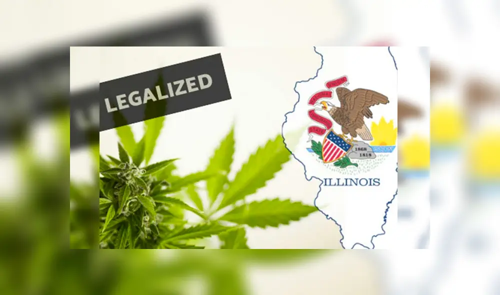 La venta de marihuana será legal en Illinois a partir del 2020. (Foto: TN8) La venta de marihuana será legal en Illinois a partir del 2020. (Foto: TN8)