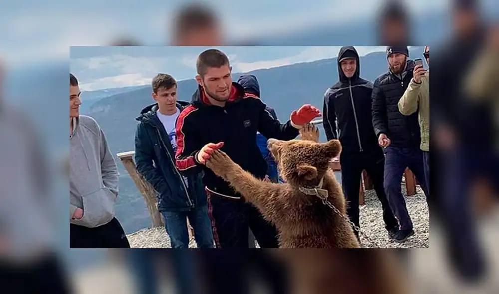 Khabib Nurmagomedov es acusado de fomentar el maltrato animal tras pelear con oso [VIDEO]