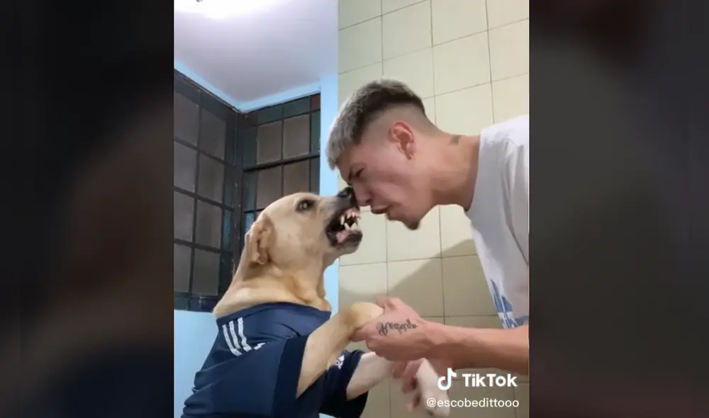 Hincha argentino se hace viral al celebrar con su perro el pase de Argentina a la final de Qatar 2022. Foto: captura TikTok Hincha argentino se hace viral al celebrar con su perro el pase de Argentina a la final de Qatar 2022. Foto: captura TikTok