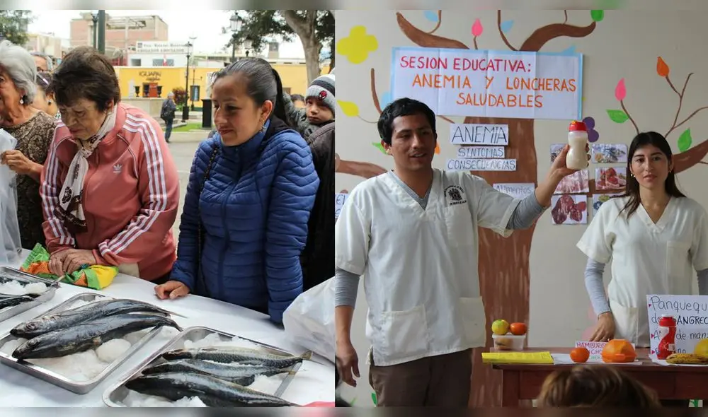 Trujillo: organizan actividades relacionadas a la nutrición en pro de la ciudadanía Trujillo: organizan actividades relacionadas a la nutrición en pro de la ciudadanía