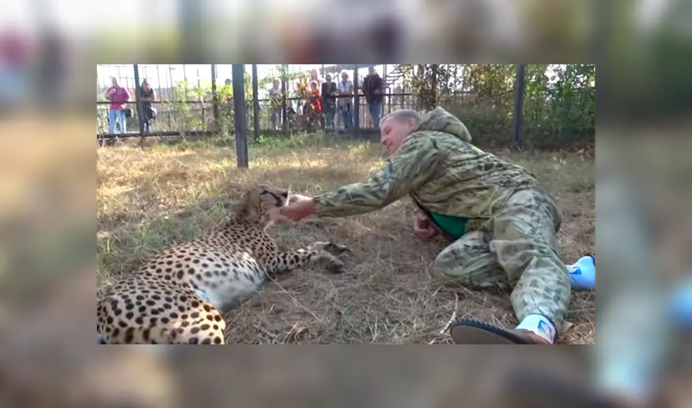 Desliza hacia la izquierda para ver el emotivo reencuentro del guepardo con el hombre. Video viral de Facebook. Desliza hacia la izquierda para ver el emotivo reencuentro del guepardo con el hombre. Video viral de Facebook.