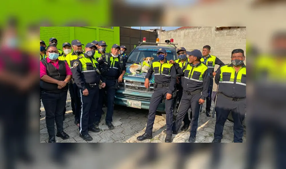 Desliza para ver las fotos de este perro que se volvió 'famoso' en Facebook. Foto: Captura.