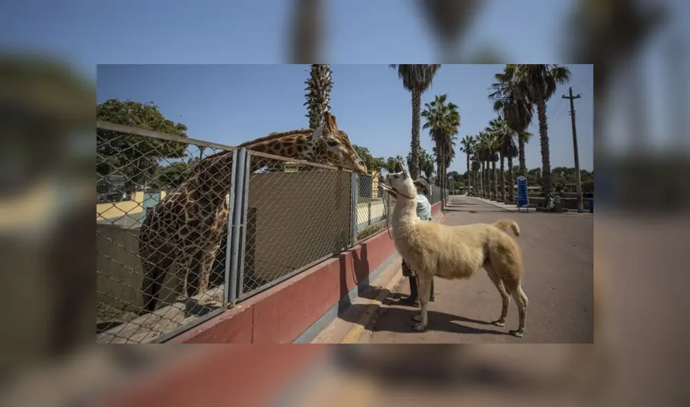 (Foto: Municipalidad de Lima)