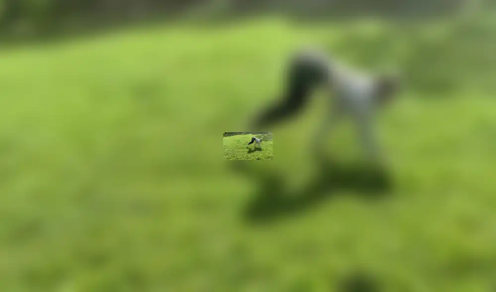 YouTube viral: Chica dice ser un caballo y hace esto para demostrarlo [VIDEO]