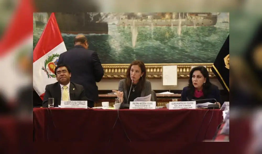 Comisión de Educación aprueba ampliar a 75 años el límite de edad para cese de catedráticos