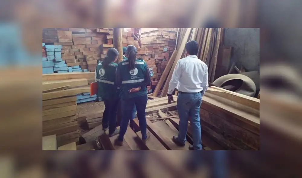 Incautan madera valorizada en más de 6 mil soles en Arequipa
