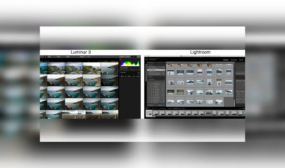 Luminar es una gran alternativa a Lightroom. Imagen: NatureTTL.