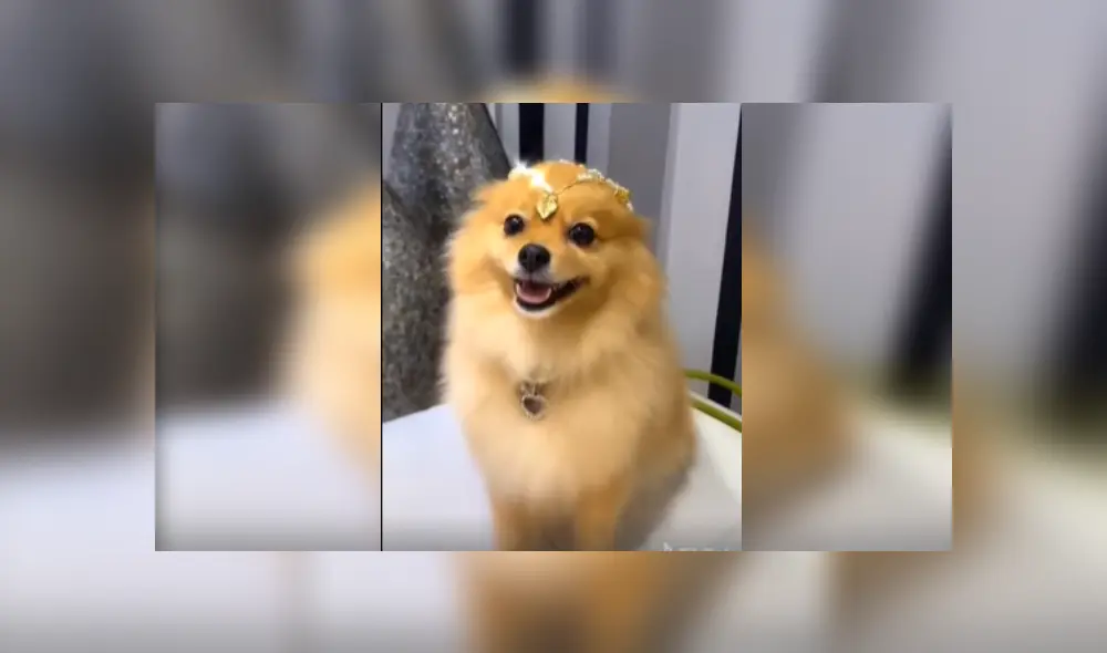 Desliza las imágenes para ver más detalles de este increíble cambio de look que es viral en Facebook. Desliza las imágenes para ver más detalles de este increíble cambio de look que es viral en Facebook.