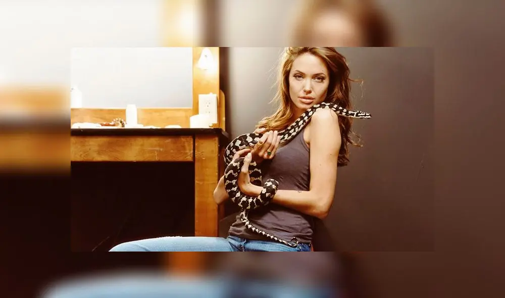 Brad Pitt dice sentirse "asqueado" de que Angelina Jolie retrase el divorcio [FOTOS]