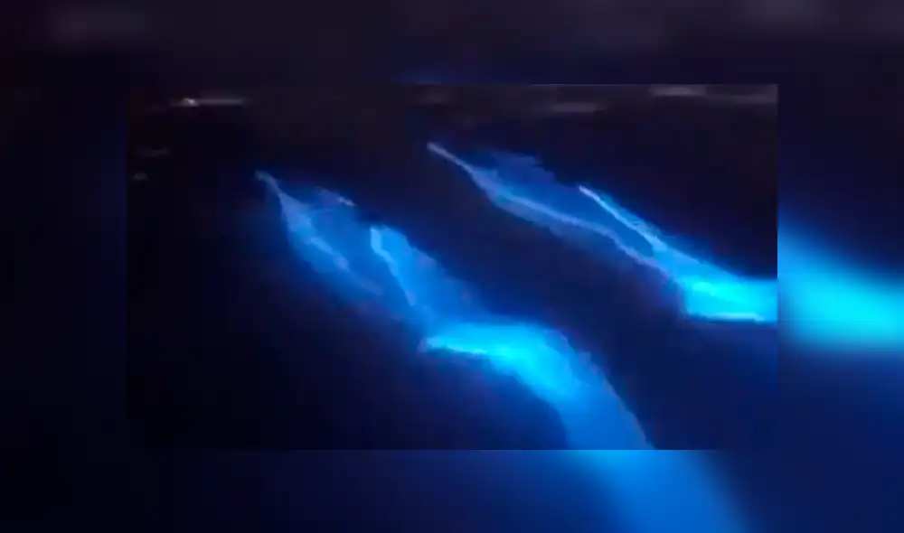 Desliza la imagen de YouTube para verlas todas.