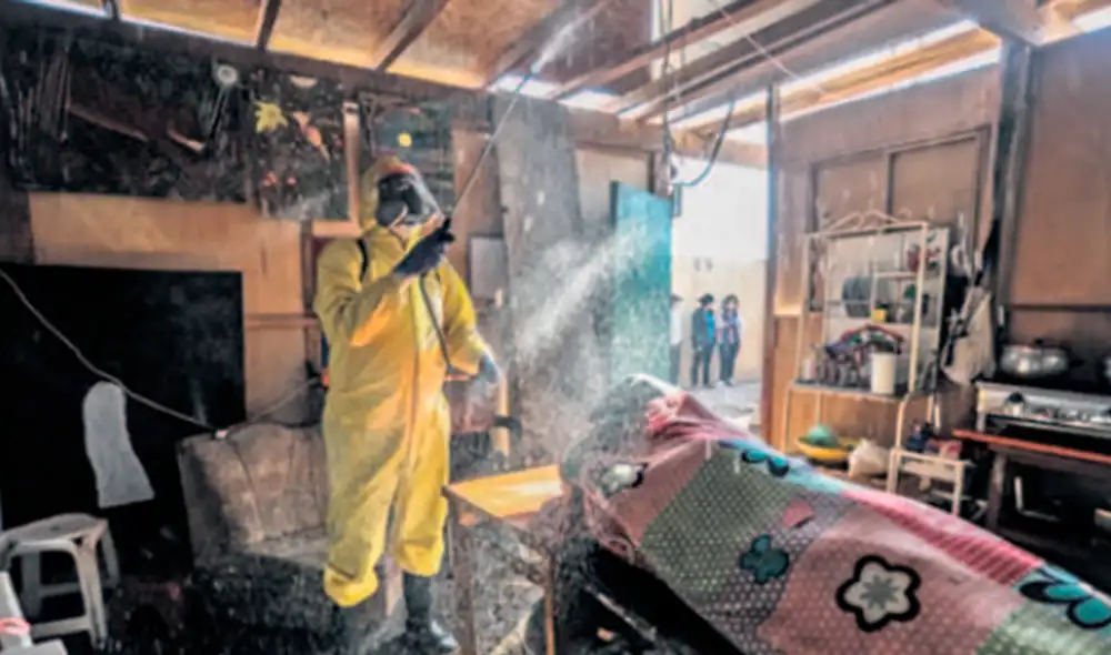 coronavirus conibo-shipibo cantagallo