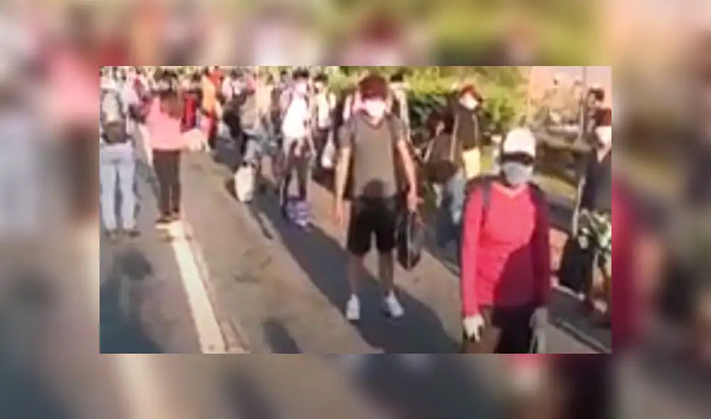 Personas se movilizaron hacia Tarapoto. Créditos: América.