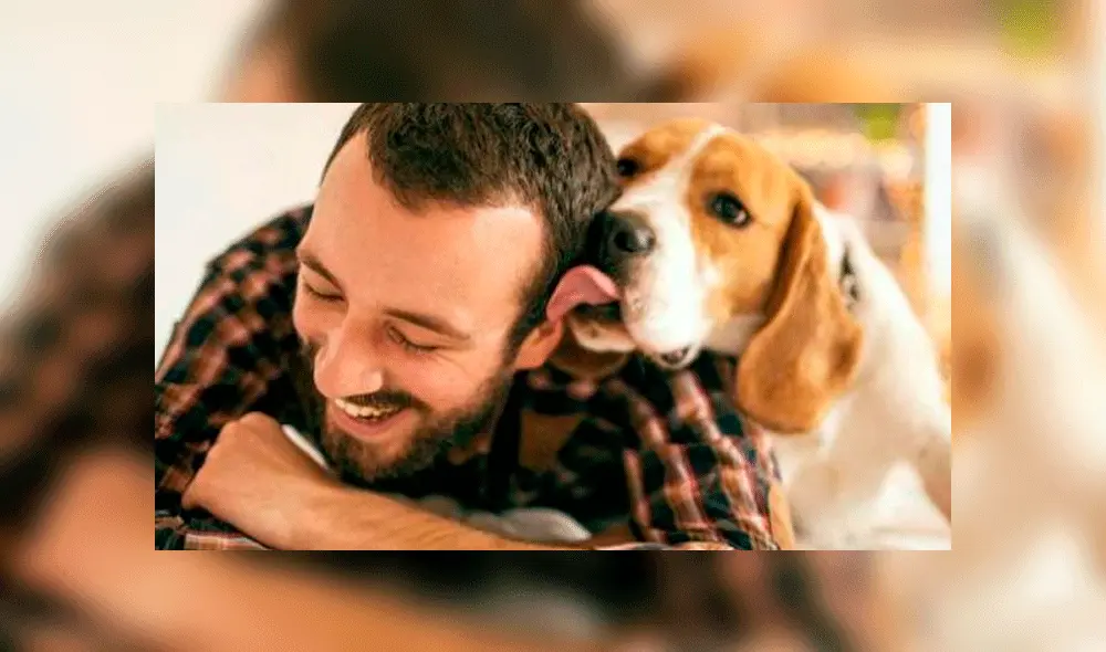 Tener perros es bueno para el corazón, según estudio. Foto: difusión