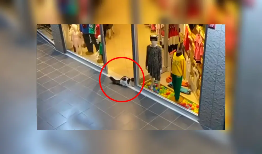 Desliza a la izquierda para conocer el nuevo viral de YouTube. Foto: Captura.