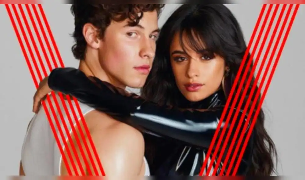 Camila Cabello y Shawn Mendes recibieron elogios por la noble acción en redes sociales. (Foto: Instagram)