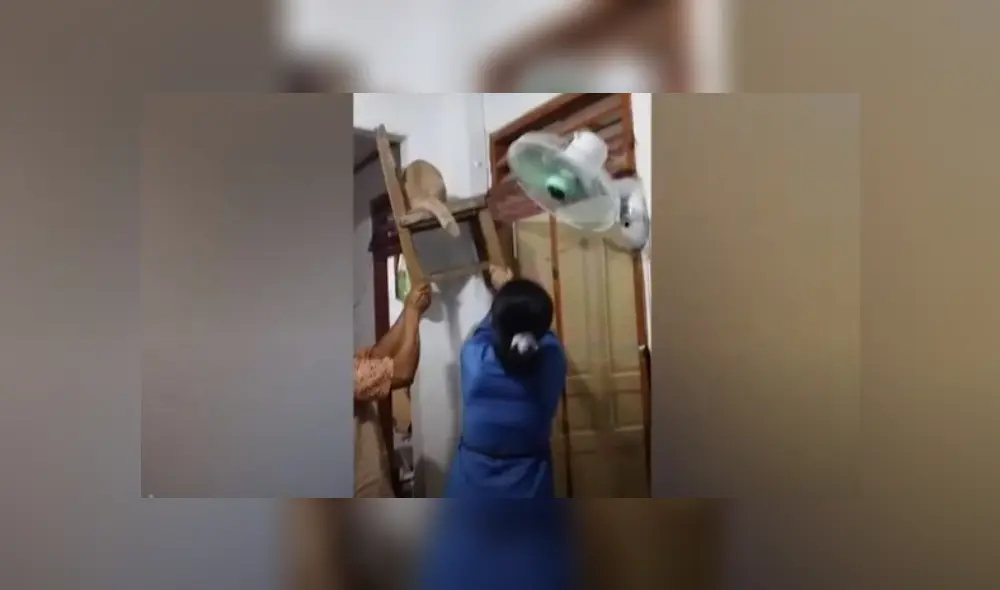Video es viral en Facebook. Integrantes de la familia tenían miedo de sacar al reptil, que había invadido su sala, y tuvieron que recurrir al felino para hacerlo. Video es viral en Facebook. Integrantes de la familia tenían miedo de sacar al reptil, que había invadido su sala, y tuvieron que recurrir al felino para hacerlo.