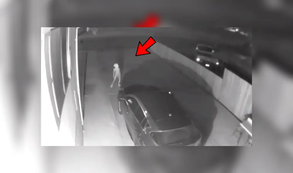 Facebook viral: Terrorífica criatura genera pánico tras ser captada por cámara de seguridad [VIDEO]