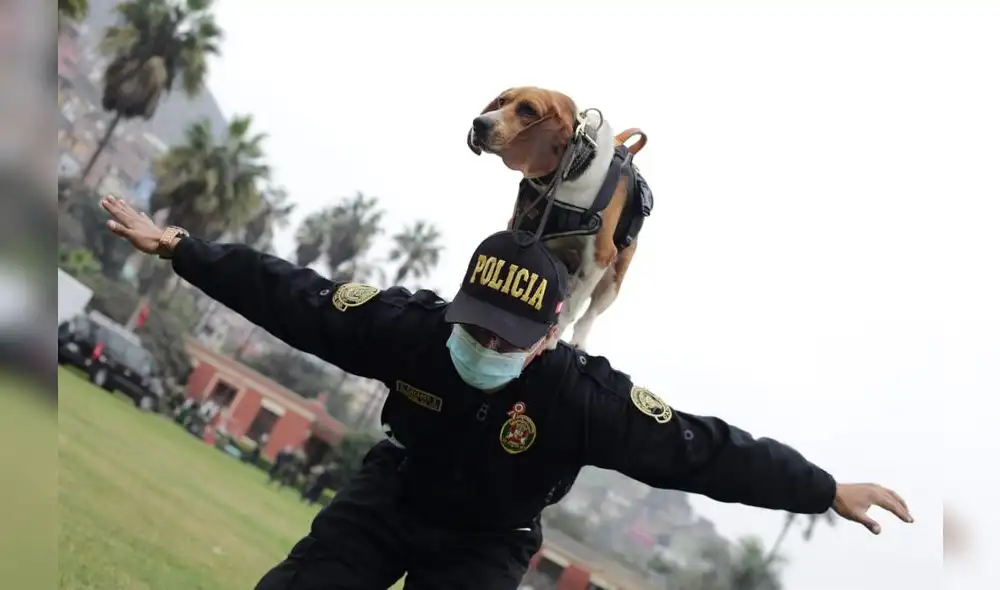 Foto: John Reyes/La República.