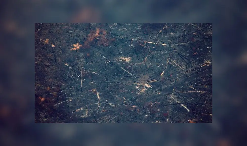 Fuego arrasó con incontables hectáreas del ''pulmón del mundo''. Foto: EFE