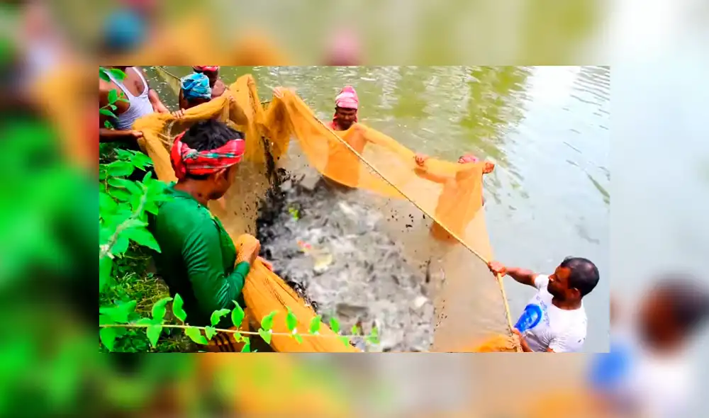 YouTube viral: arrojan enorme red en profundo lago y miles de misteriosas criaturas emergen YouTube viral: arrojan enorme red en profundo lago y miles de misteriosas criaturas emergen