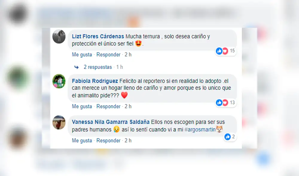 Vía Facebook: fue a albergue a hacer reportaje sobre perros y terminó adoptando a uno [VIDEO] 