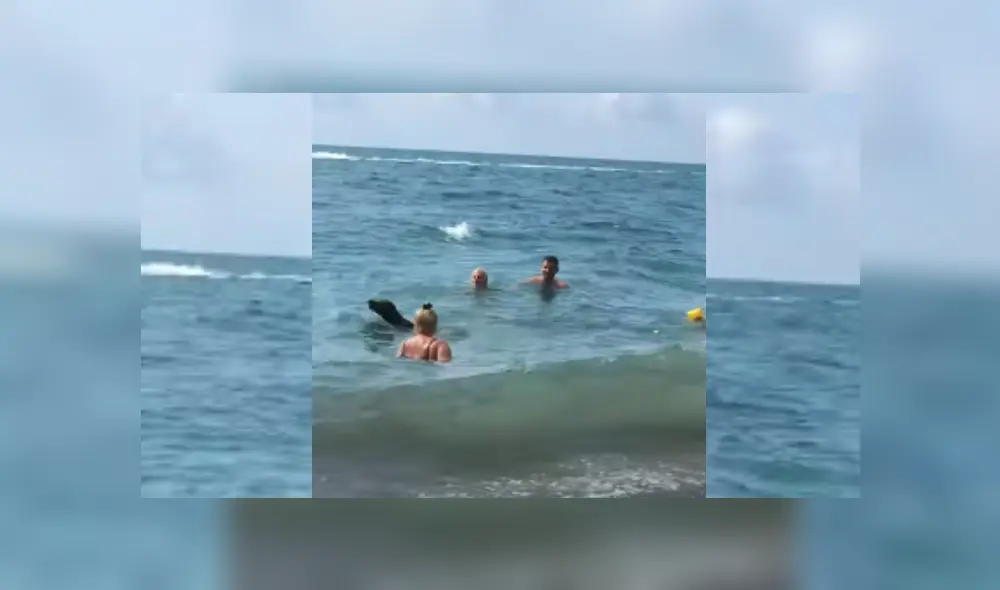 Desliza hacia la izquierda para ver más del video viral. Fotocaptura: YouTube Desliza hacia la izquierda para ver más del video viral. Fotocaptura: YouTube