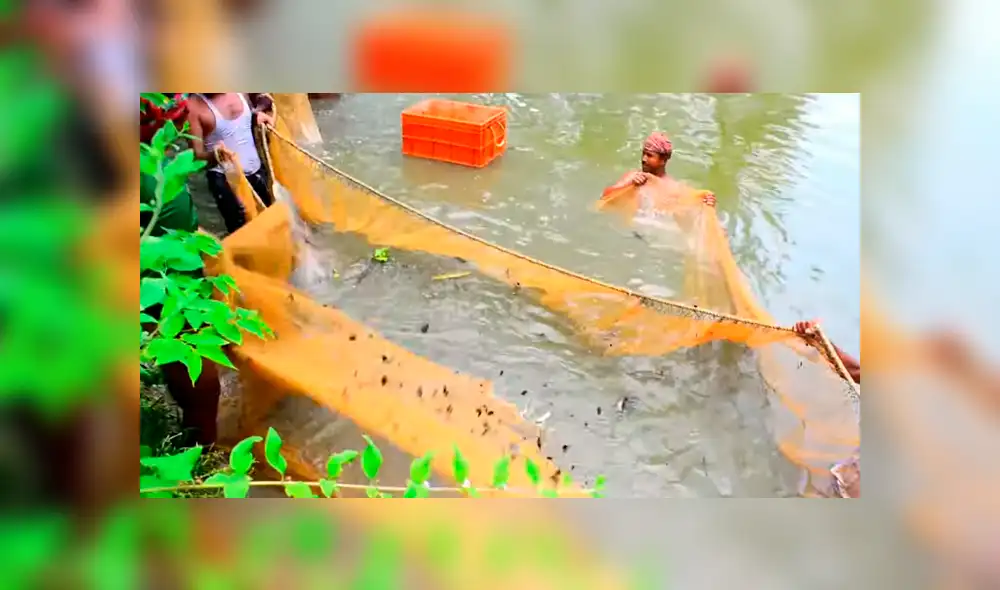 YouTube viral: arrojan enorme red en profundo lago y miles de misteriosas criaturas emergen YouTube viral: arrojan enorme red en profundo lago y miles de misteriosas criaturas emergen