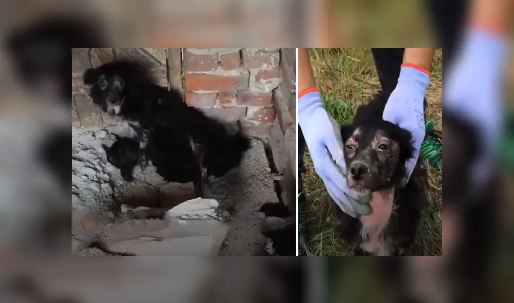 Desliza hacia la izquierda para ver las imágenes del viral de YouTube. Foto: Captura.