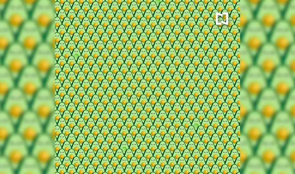 Debes encontrar cuatro paltas sin pepas en tan solo 30 segundos. Foto: Facebook/Televisa Noticias Debes encontrar cuatro paltas sin pepas en tan solo 30 segundos. Foto: Facebook/Televisa Noticias