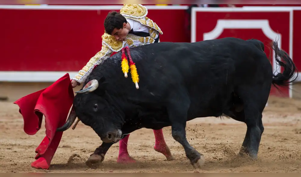 España: Torero recibe una cornada en el ojo y podría perder la visión