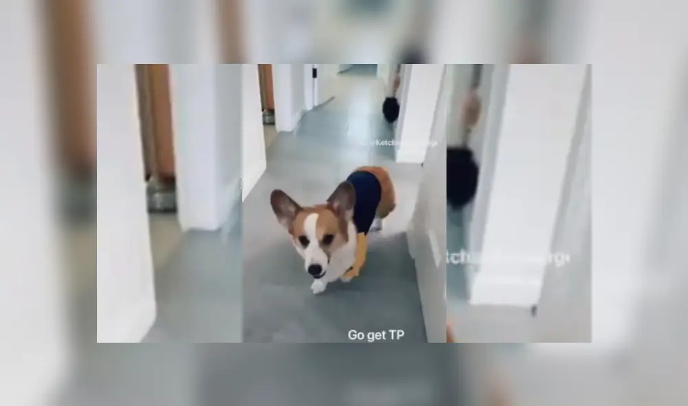 Desliza hacia la izquierda para ver más del video viral. Fotocaptuira: Twitter Desliza hacia la izquierda para ver más del video viral. Fotocaptuira: Twitter