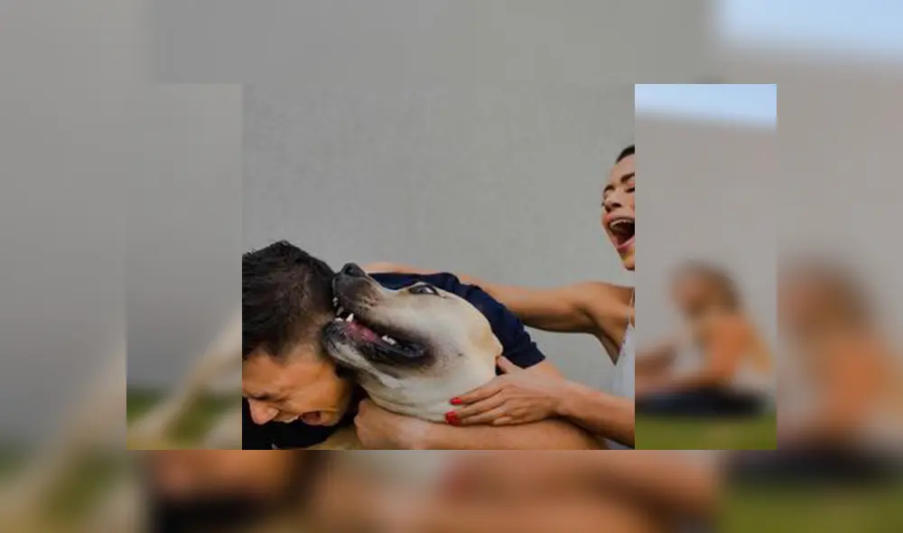 En Facebook, un travieso perro arruinó la sesión de fotos de sus dueños al colocarse delante de la cámara.