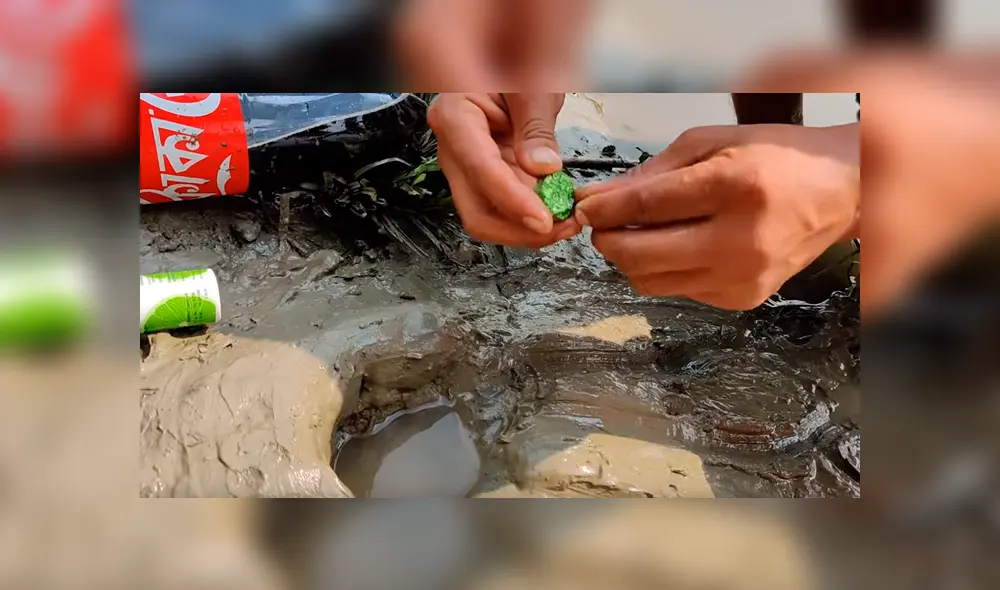 Desliza hacia la izquierda para conocer al extraño pez que salió de un misterioso agujero y se hizo viral en YouTube.