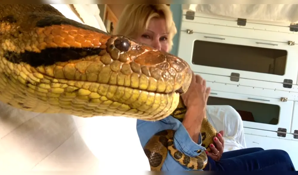 YouTube viral: critican a mujer que tiene anaconda de mascota por sacrificar a otros animales [VIDEO]
