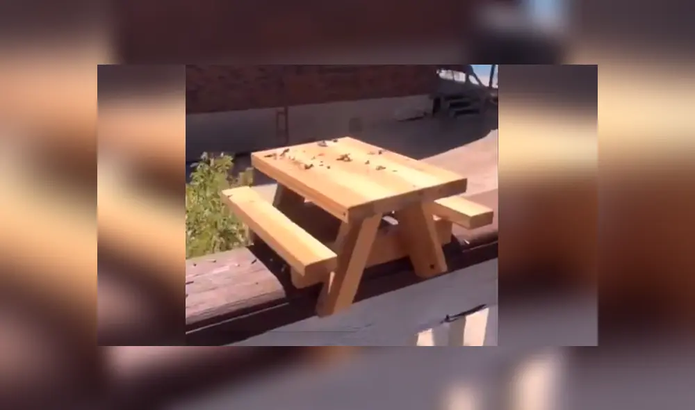 Desliza las imágenes para observar la ingeniosa ‘mesa de picnic’ que fabricó un hombre para los animales. Foto: Captura. Desliza las imágenes para observar la ingeniosa ‘mesa de picnic’ que fabricó un hombre para los animales. Foto: Captura.