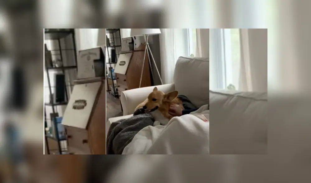 Desliza hacia la izquierda para ver más del video viral. Fotocaptura: YouTube. Desliza hacia la izquierda para ver más del video viral. Fotocaptura: YouTube.