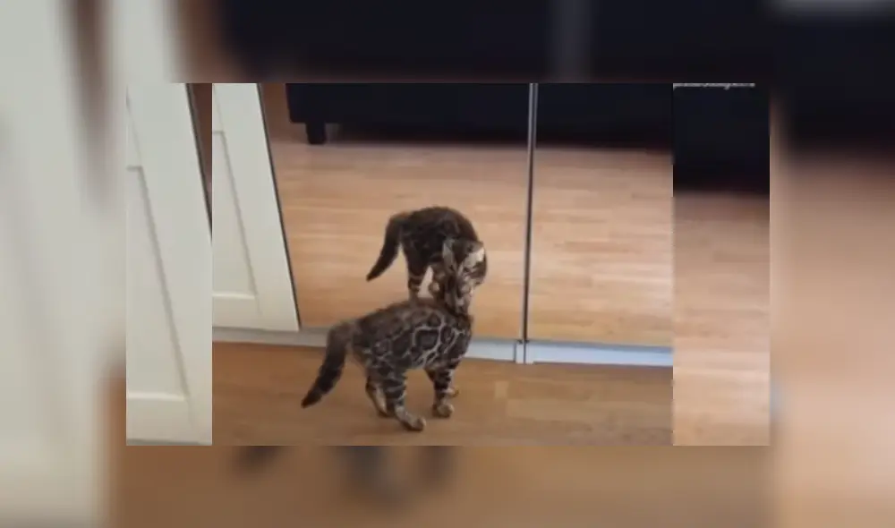 Desliza hacia la izquierda para ver más del video viral. Fotocaptura: YouTube Desliza hacia la izquierda para ver más del video viral. Fotocaptura: YouTube