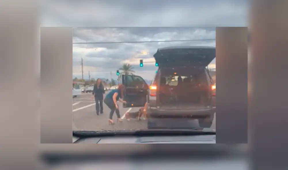 Desliza la imagen para ver todas las fotos de YouTube. Foto: captura