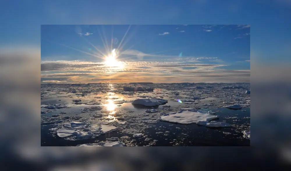 Los científicos creen que es la mayor temperatura registrada en el continente helado. Foto: Difusión.