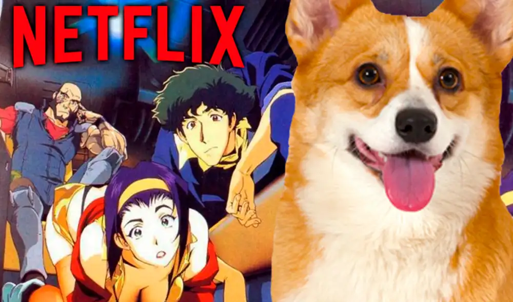 Estos fueron los motivos que llevaron a la suspensión de este reciente proyecto live action