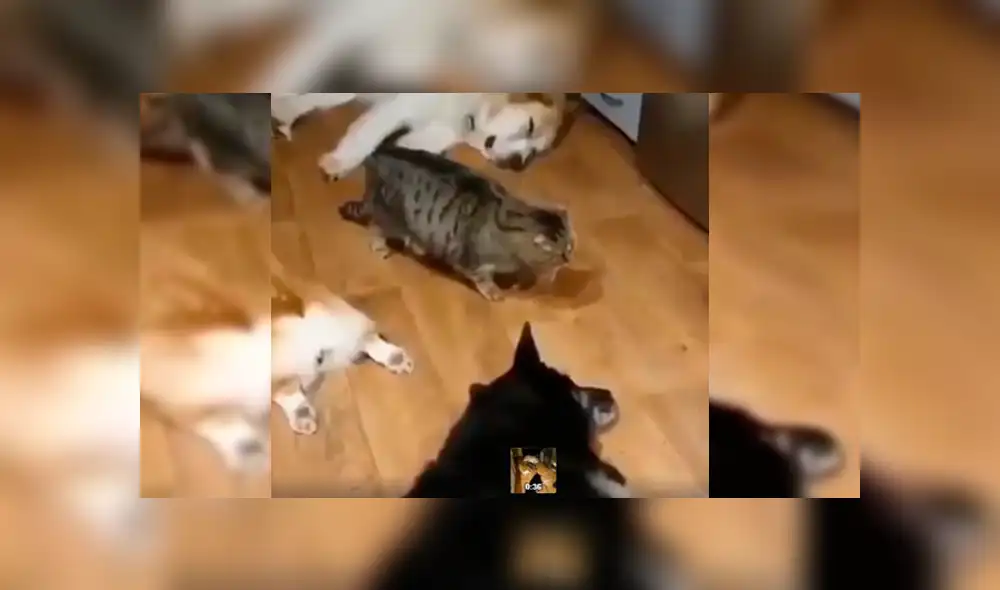 Desliza para ver los detalles del video viral publicado en YouTube. Foto: Captura.