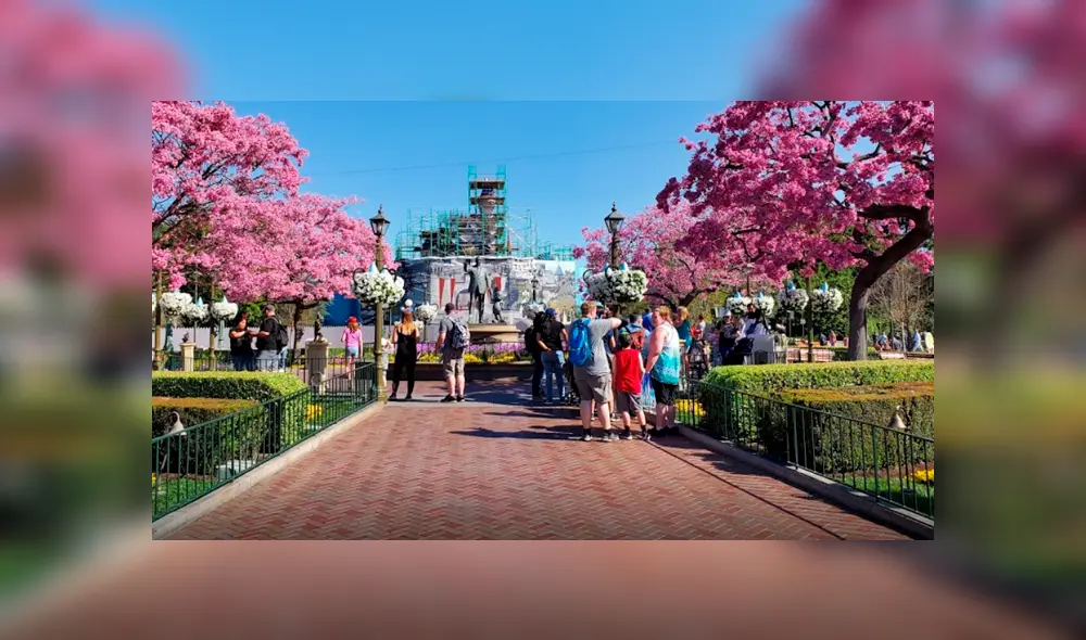 Joven recorre el mágico parque de Disneyland con Google Maps y hace increíble hallazgo que le recuerda a su niñez. Joven recorre el mágico parque de Disneyland con Google Maps y hace increíble hallazgo que le recuerda a su niñez.