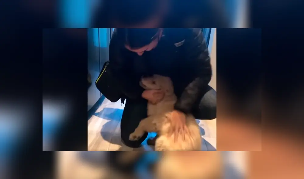 Desliza las imágenes hacia la izquierda para apreciar la emotiva escena de un perro junto a su dueña. Foto: Captura. Desliza las imágenes hacia la izquierda para apreciar la emotiva escena de un perro junto a su dueña. Foto: Captura.