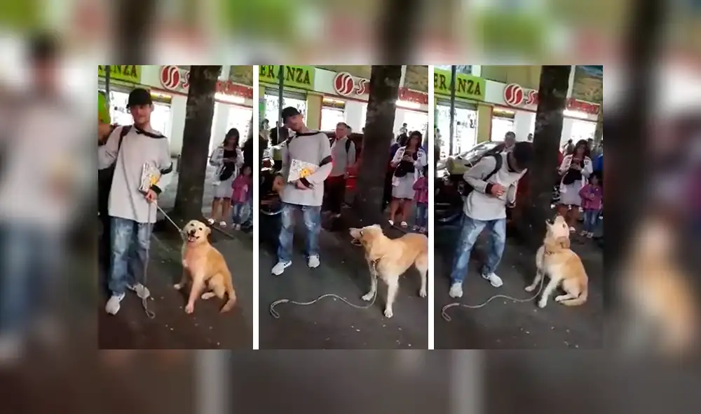 En Facebook, un joven ambulante realizó un espectáculo en la calle junto a su perro que impactó con su acto.