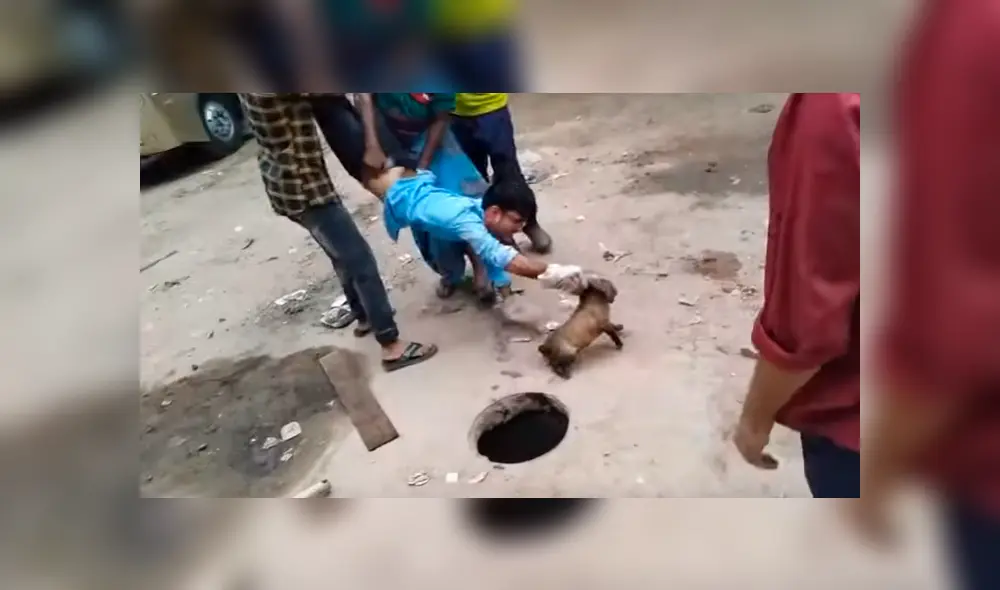 El hombre escuchó los aullidos del cachorro y no tardó en buscar ayuda y arriesgar su vida para salvarlo. El conmovedor episodio se ha hecho viral en Facebook y YouTube