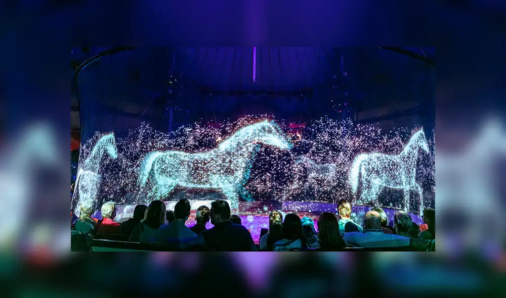 ¿Adiós a la utilización de animales silvestres en shows de circo? 