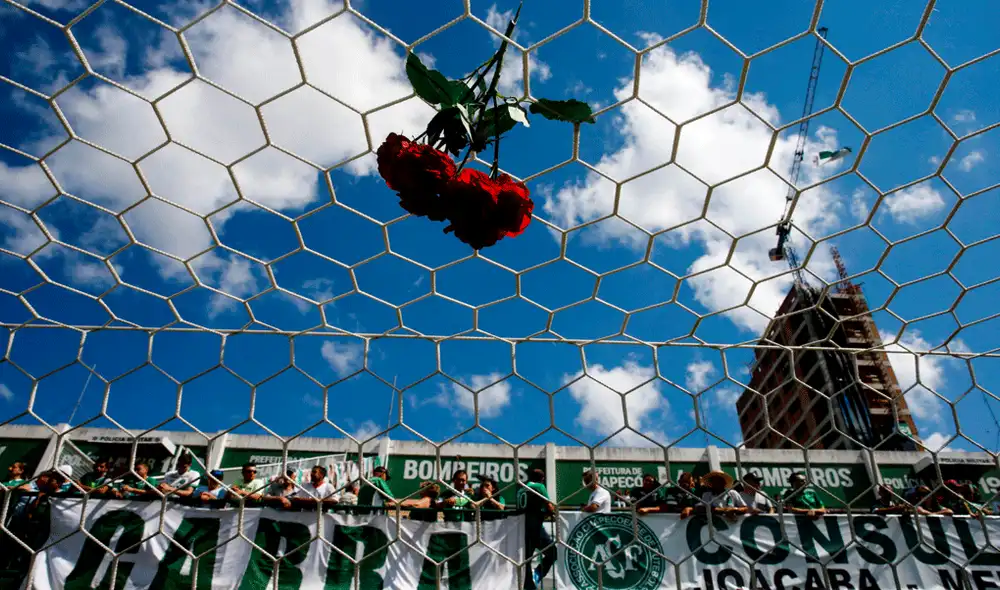 Azafata sobreviviente de la tragedia aérea de Chapecoense volverá a volar. | Foto: EFE