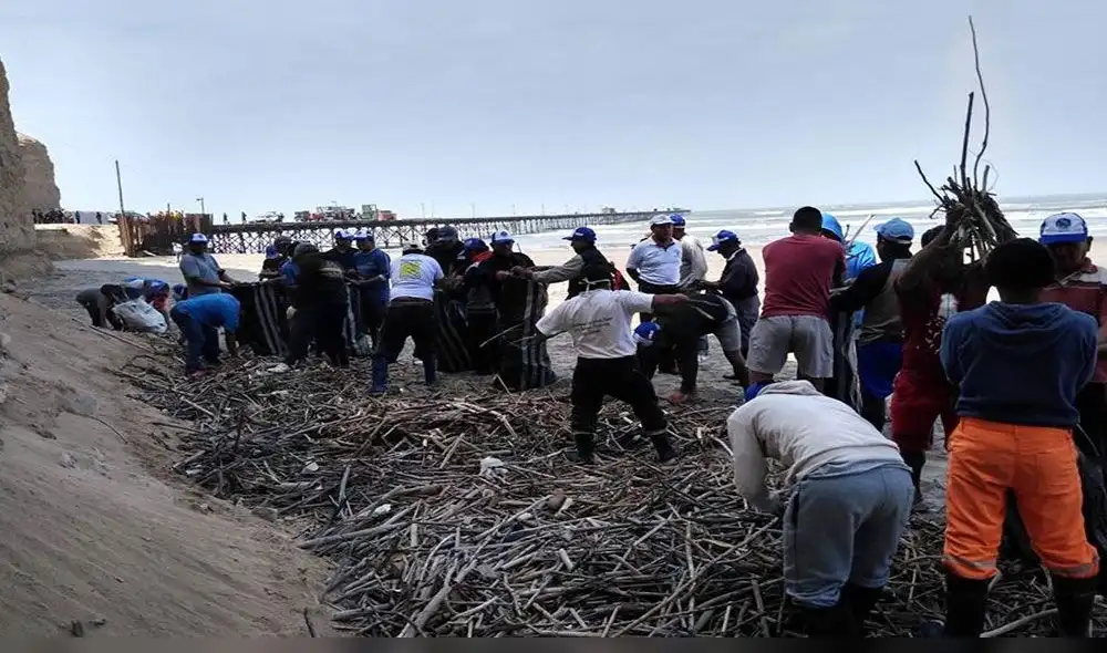 Realizan campaña de limpieza en el litoral de Lambayeque