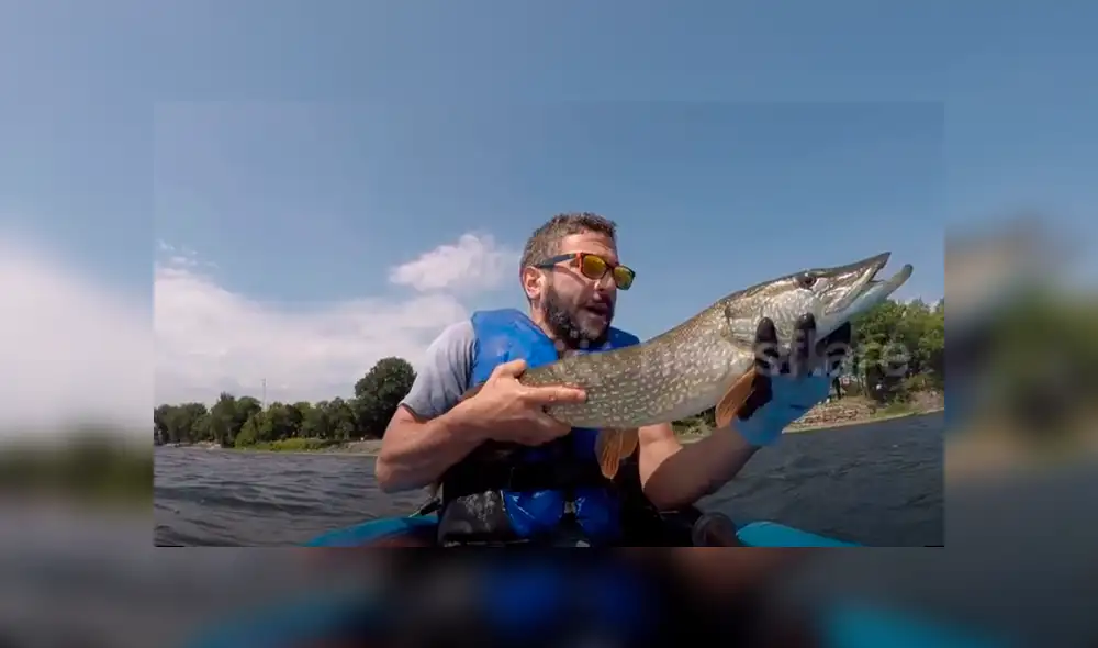 Un video viral de YouTube registró lo que ocurrió con un pescador al atrapar a un enorme criatura marina. Un video viral de YouTube registró lo que ocurrió con un pescador al atrapar a un enorme criatura marina.