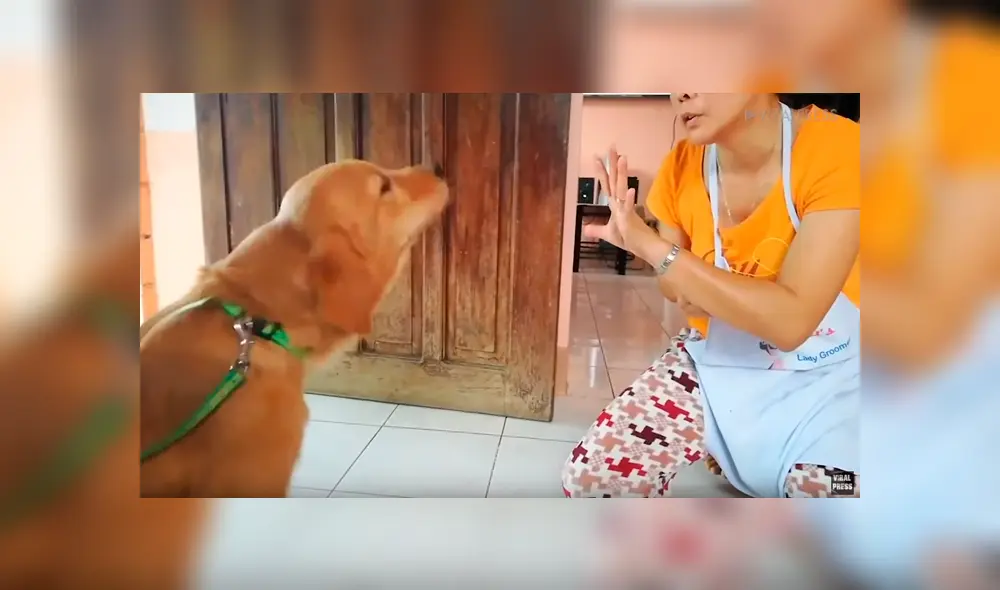 Facebook viral: Perro sorprende por su impresionante inteligencia al contar hasta 10 con su dueña [VIDEO]